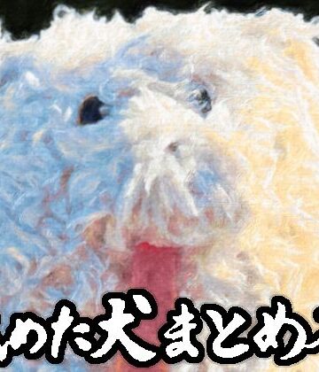 舐めた犬❤舐めた犬まとめ本[ギャグ・コメディ]-評価4.86